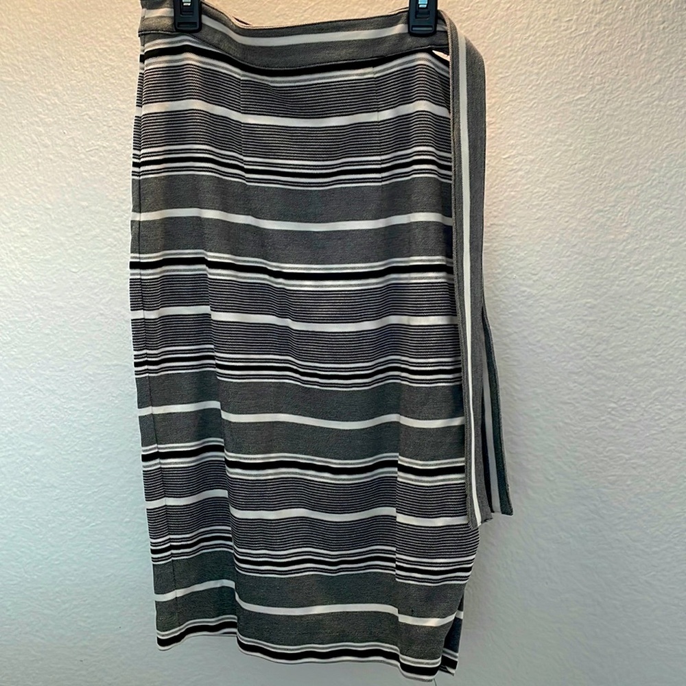Express skirt 6